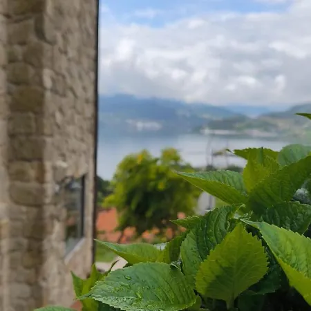 O Pinon * Ποντεβέντρα