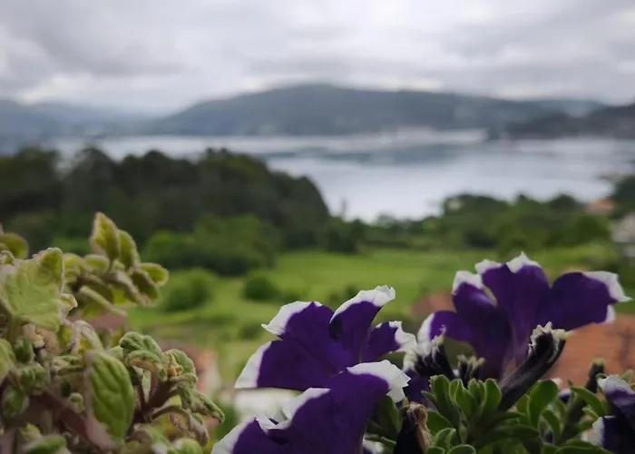 O Pinon בית נופש